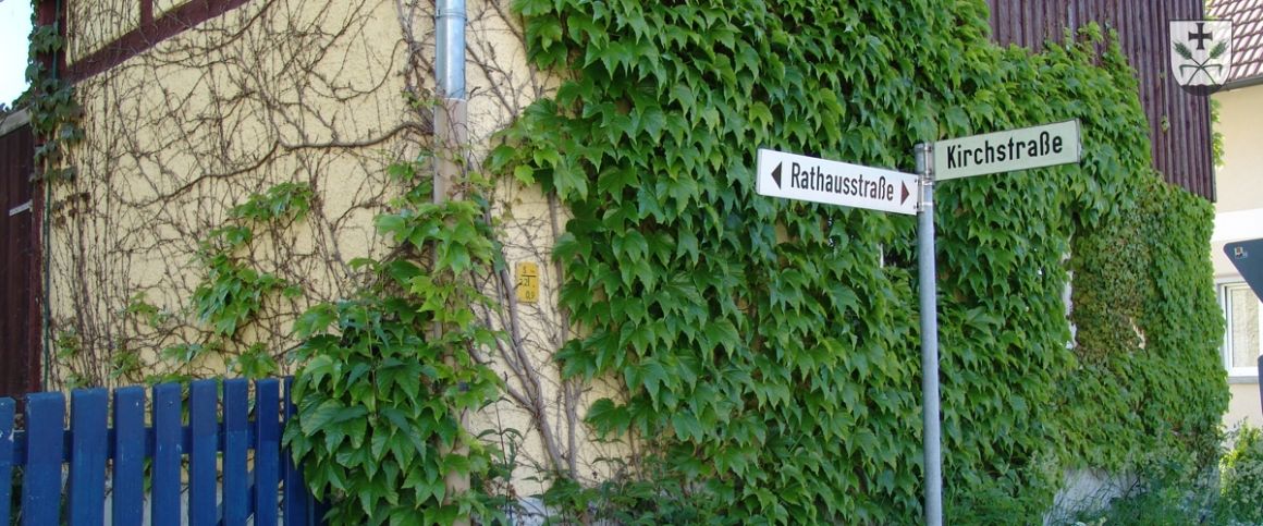 Mauerwand mit wildem Wein / Fotoimpression Gemeinde Fleischwangen